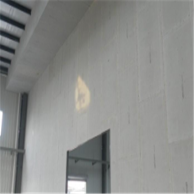 稻城新型建筑材料掺多种工业废渣的ALC|ACC|FPS模块板材轻质隔墙板